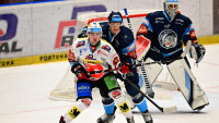 hokej dynamo